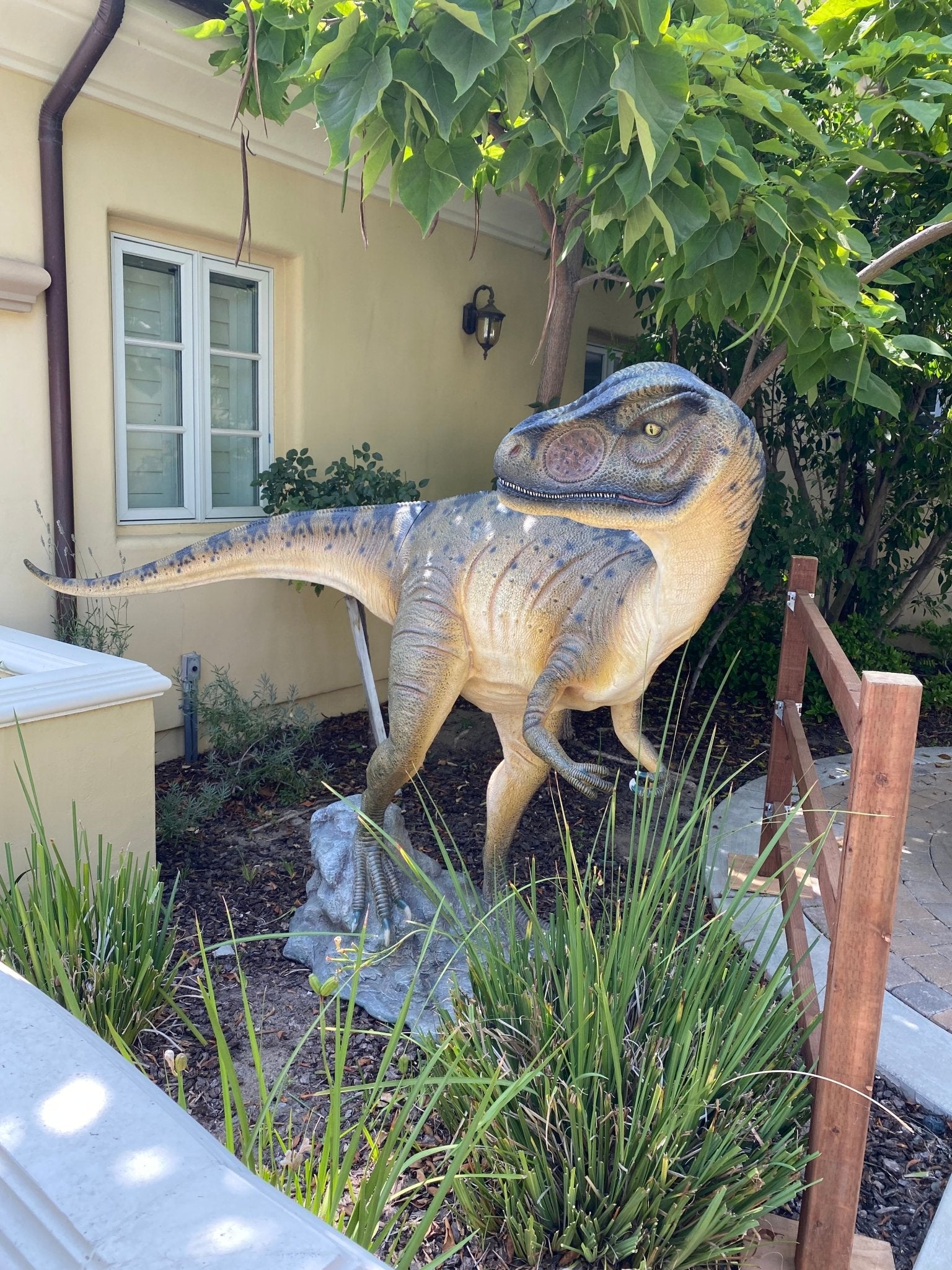 Allosaurus Dinosaur Head Turned - Custom Prop Rentals
