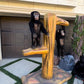 Animated Monkey Tree Stump - Custom Prop Rentals