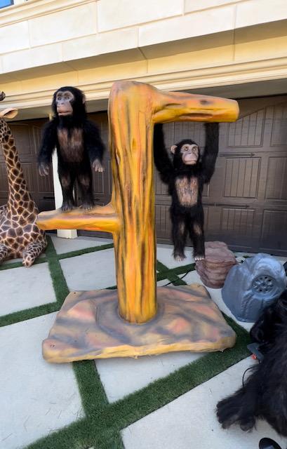 Animated Monkey Tree Stump - Custom Prop Rentals