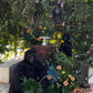 Animated Monkeys - Custom Prop Rentals