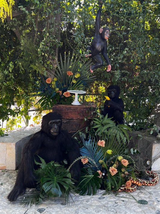 Animated Monkeys - Custom Prop Rentals