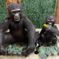 Animated Monkeys - Custom Prop Rentals