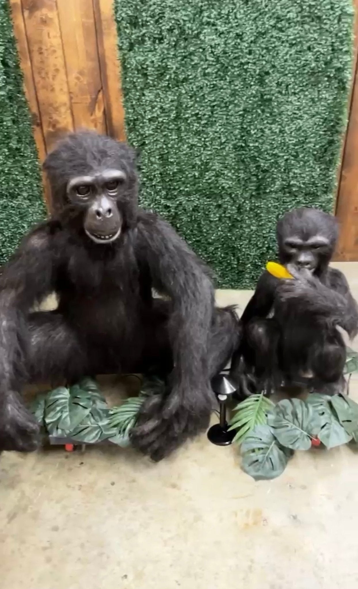 Animated Monkeys - Custom Prop Rentals