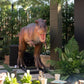 Animated T - Rex Rexy - Custom Prop Rentals