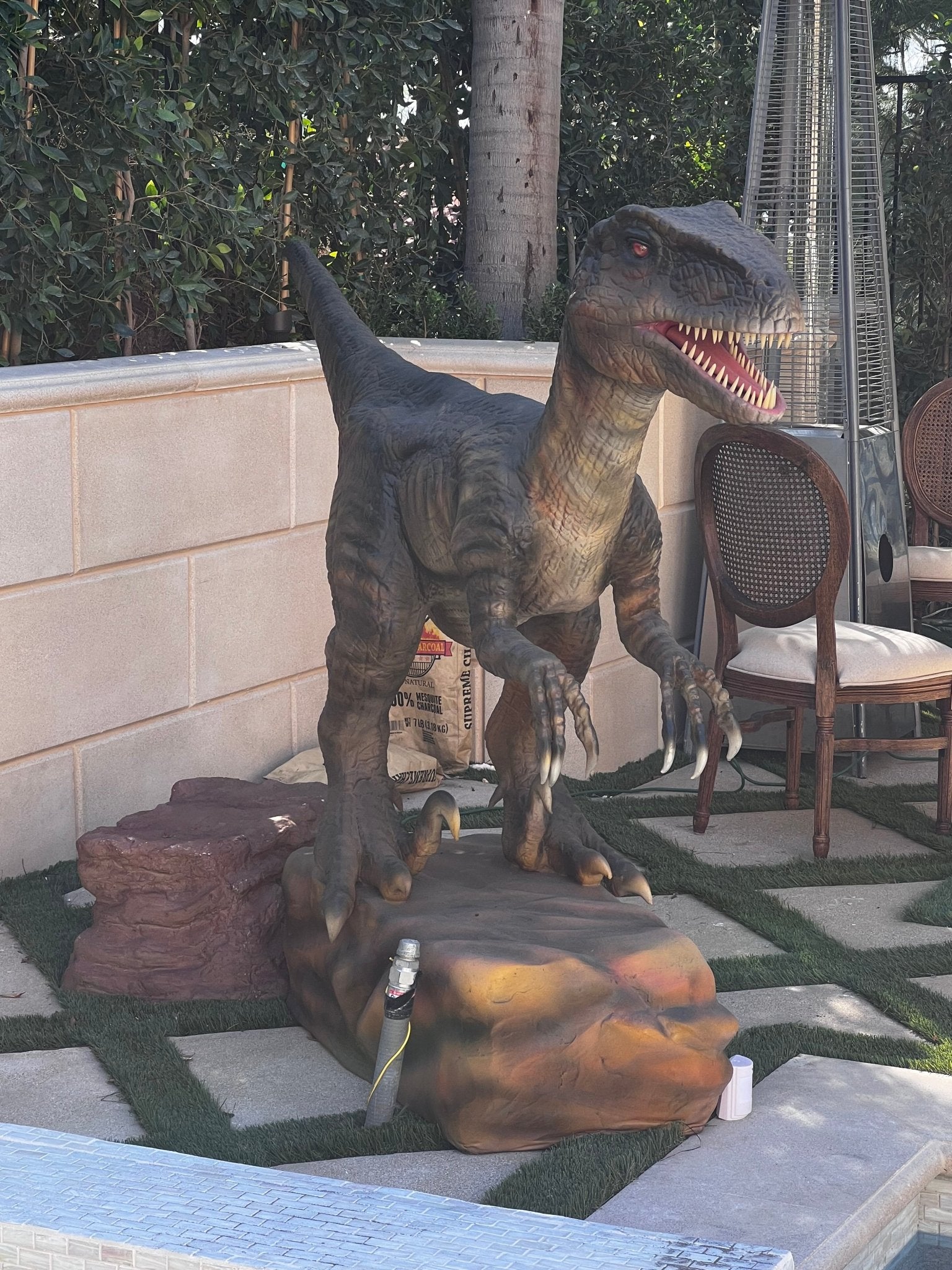 Animated Velociraptor Delta - Custom Prop Rentals