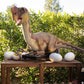 Animatronics Oviraptor with five eggs and two babies - Custom Prop Rentals