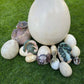 Baby Dinosaur Egg Hatching - Custom Prop Rentals