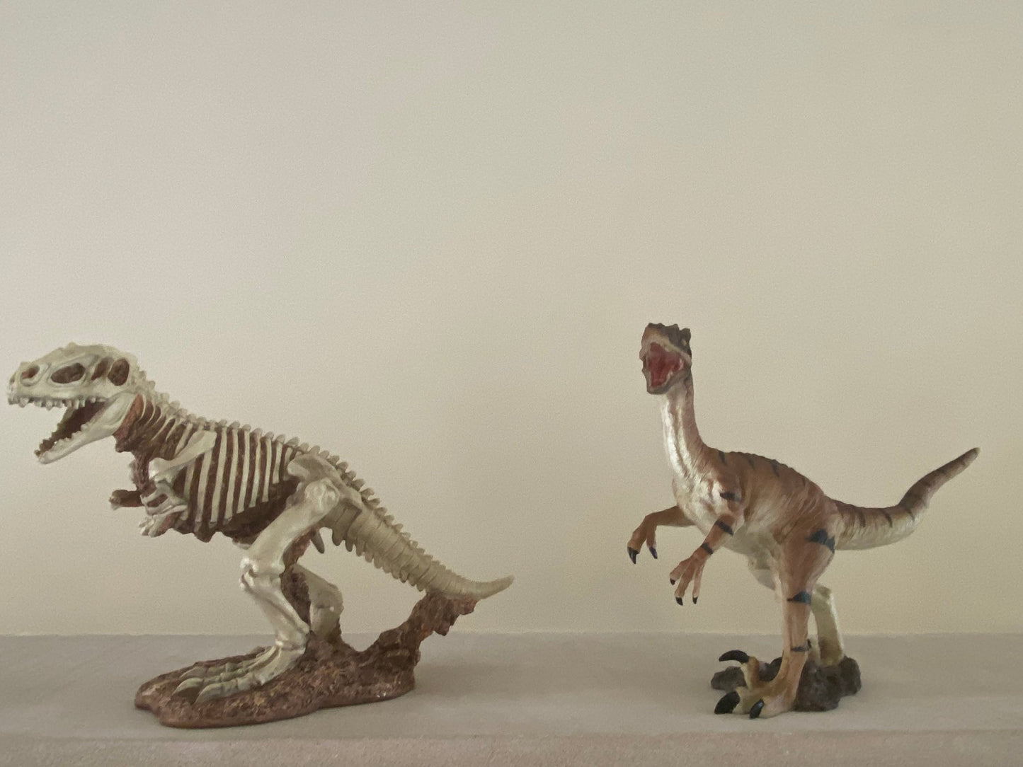 Baby Dinosaur Egg Hatching - Custom Prop Rentals