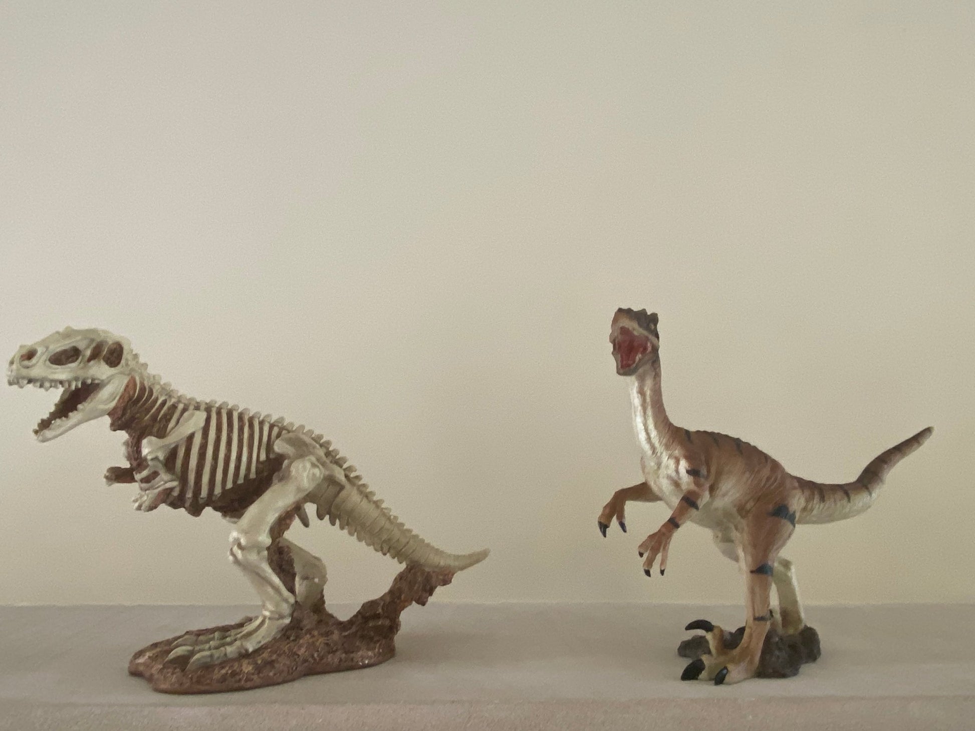 Baby Dinosaur Egg Hatching - Custom Prop Rentals