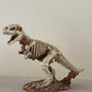 Baby Dinosaur Egg Hatching - Custom Prop Rentals