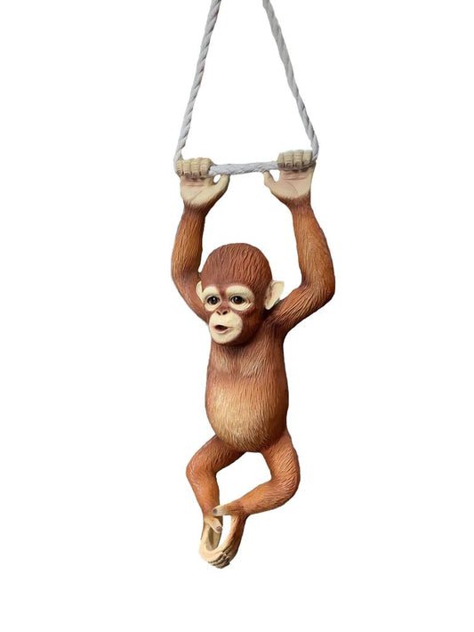 Baby Orangutan Monkey - Custom Prop Rentals