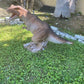 Baby T - REX - Custom Prop Rentals
