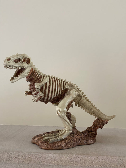 Baby T REX Skeleton Dino - Custom Prop Rentals