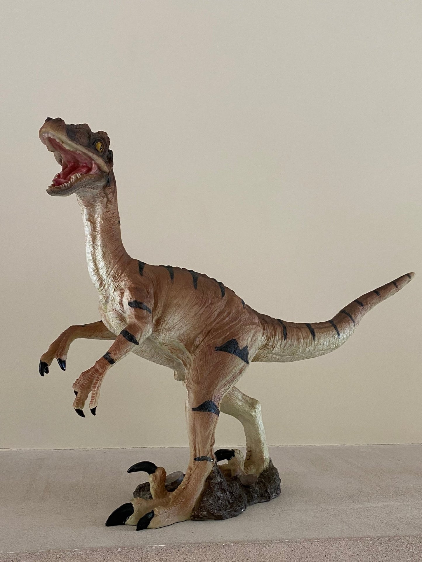 Baby Velociraptor Dino - Custom Prop Rentals