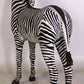 Baby Zebra - Custom Prop Rentals