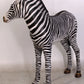 Baby Zebra - Custom Prop Rentals