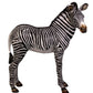 Baby Zebra - Custom Prop Rentals