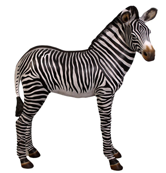 Baby Zebra - Custom Prop Rentals