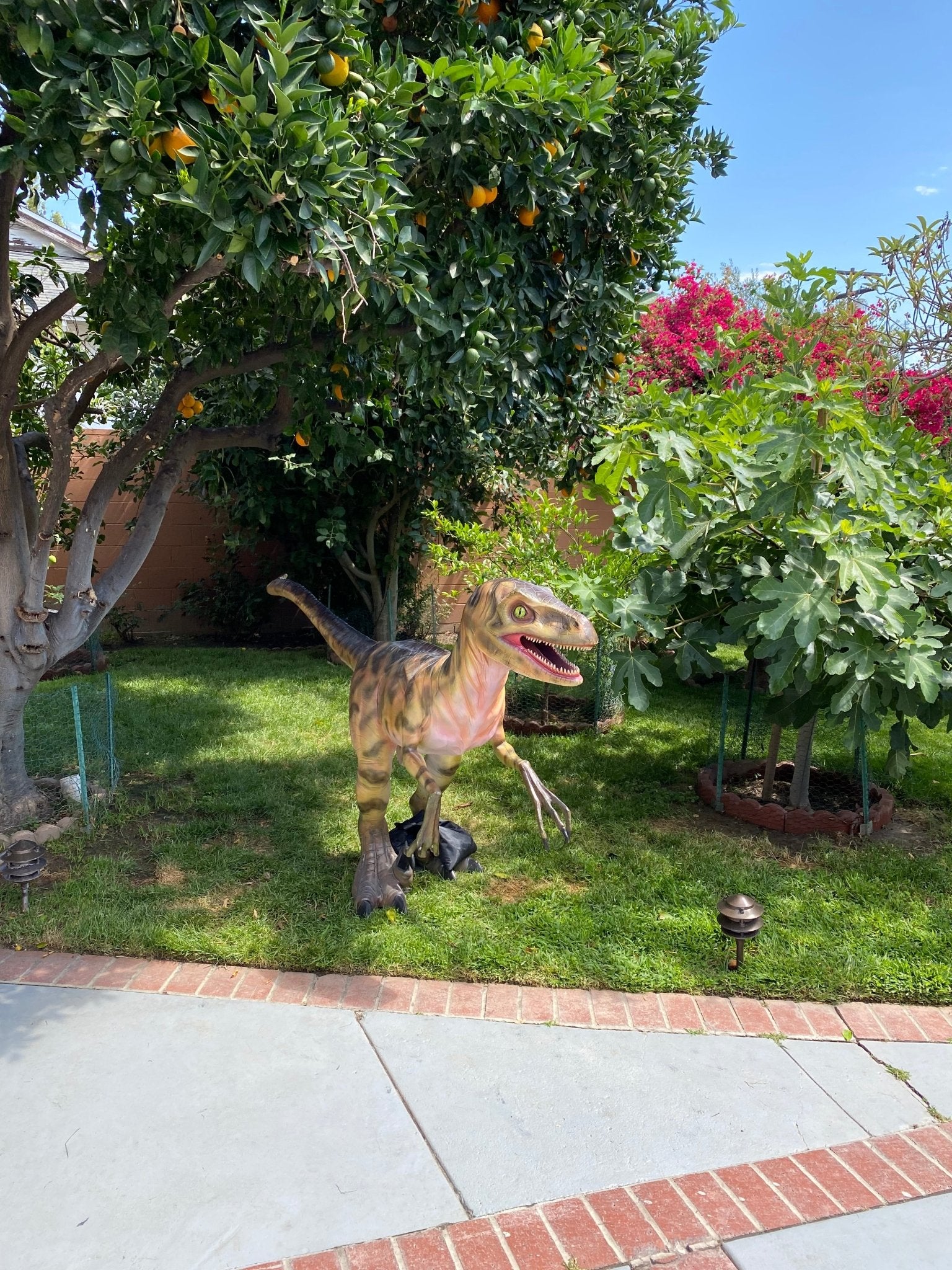 Deinonychus Green Dinosaur - Custom Prop Rentals