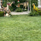 Deinonychus On Base - Custom Prop Rentals