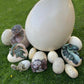 Dinosaur Assorted Eggs - Custom Prop Rentals