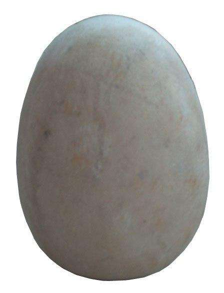 Dinosaur Assorted Eggs - Custom Prop Rentals
