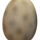 Dinosaur Assorted Eggs - Custom Prop Rentals