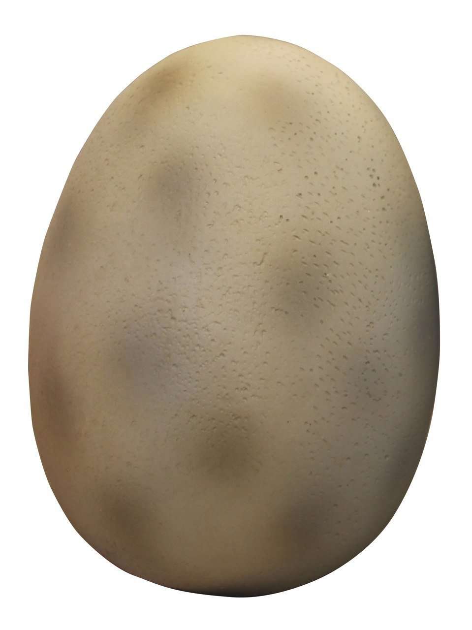 Dinosaur Assorted Eggs - Custom Prop Rentals