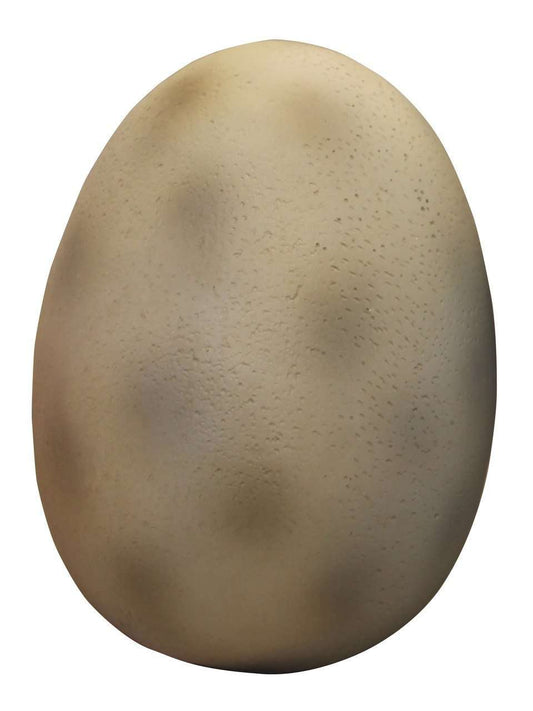 Dinosaur Assorted Eggs - Custom Prop Rentals