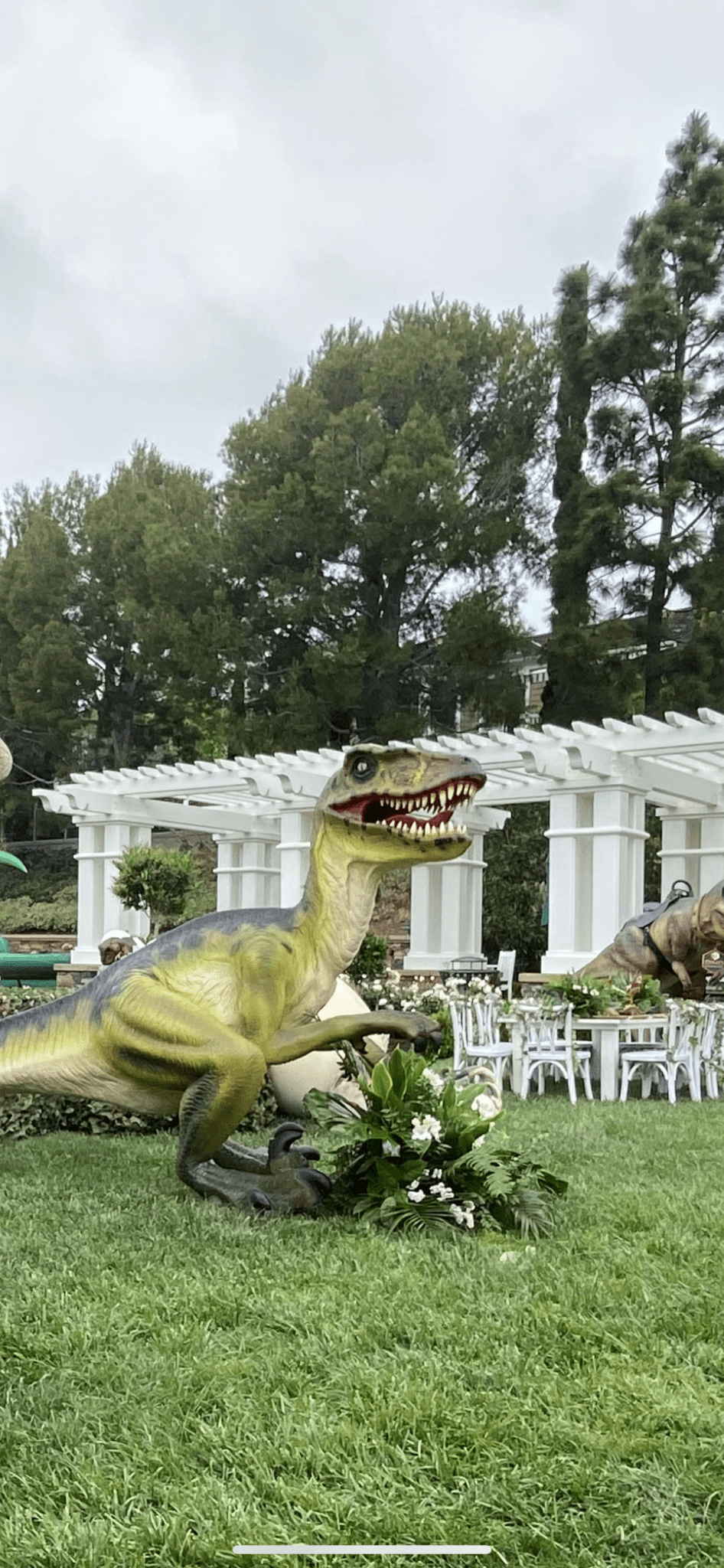 Dromarosaurus Dinosaur - Custom Prop Rentals