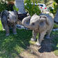Elephant Baby - Custom Prop Rentals