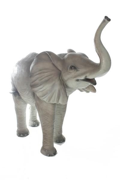 Elephant Standing - Custom Prop Rentals