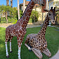 Giraffe 8 FT - Custom Prop Rentals