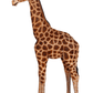 Giraffe Baby - Custom Prop Rentals