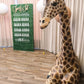 Giraffe Sitting - Custom Prop Rentals
