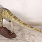 Hypsilophodont Dinosaur - Custom Prop Rentals