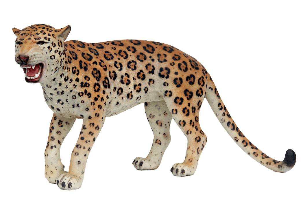 Leopard - Custom Prop Rentals