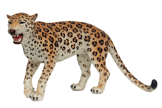Leopard - Custom Prop Rentals