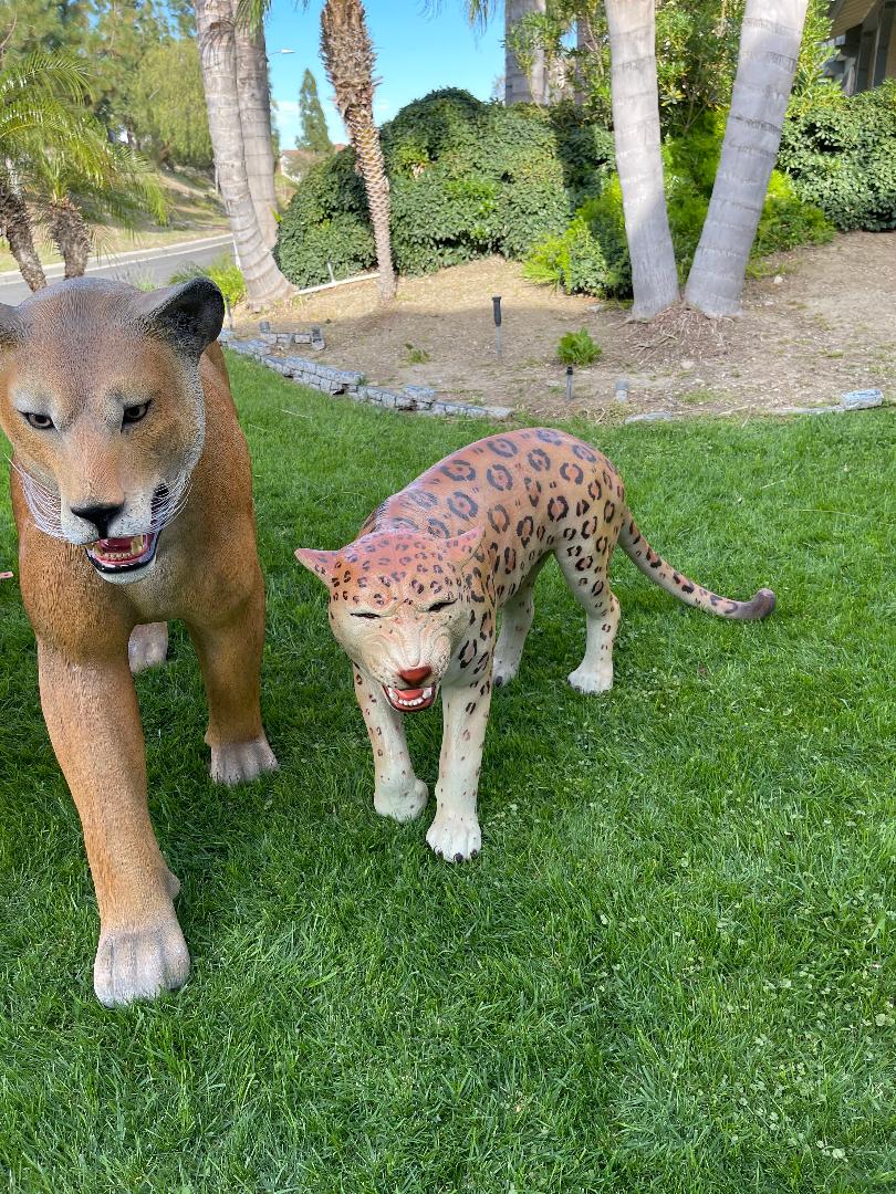 Leopard - Custom Prop Rentals