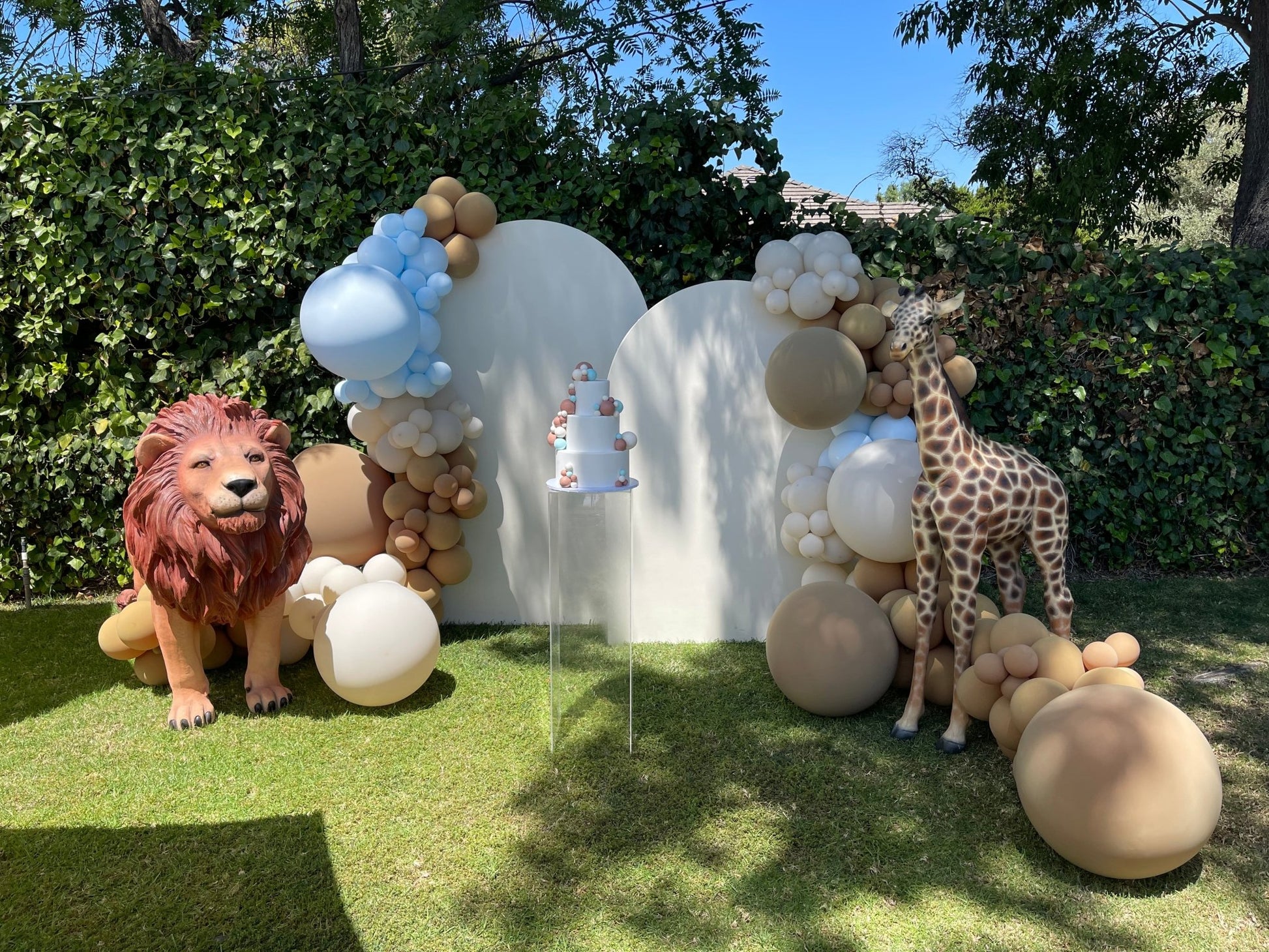Lion - Custom Prop Rentals