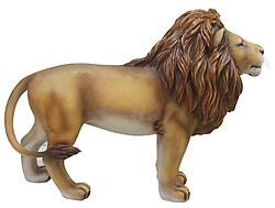 Lion - Custom Prop Rentals