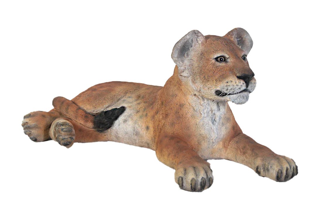 Lion Cub laying - Custom Prop Rentals