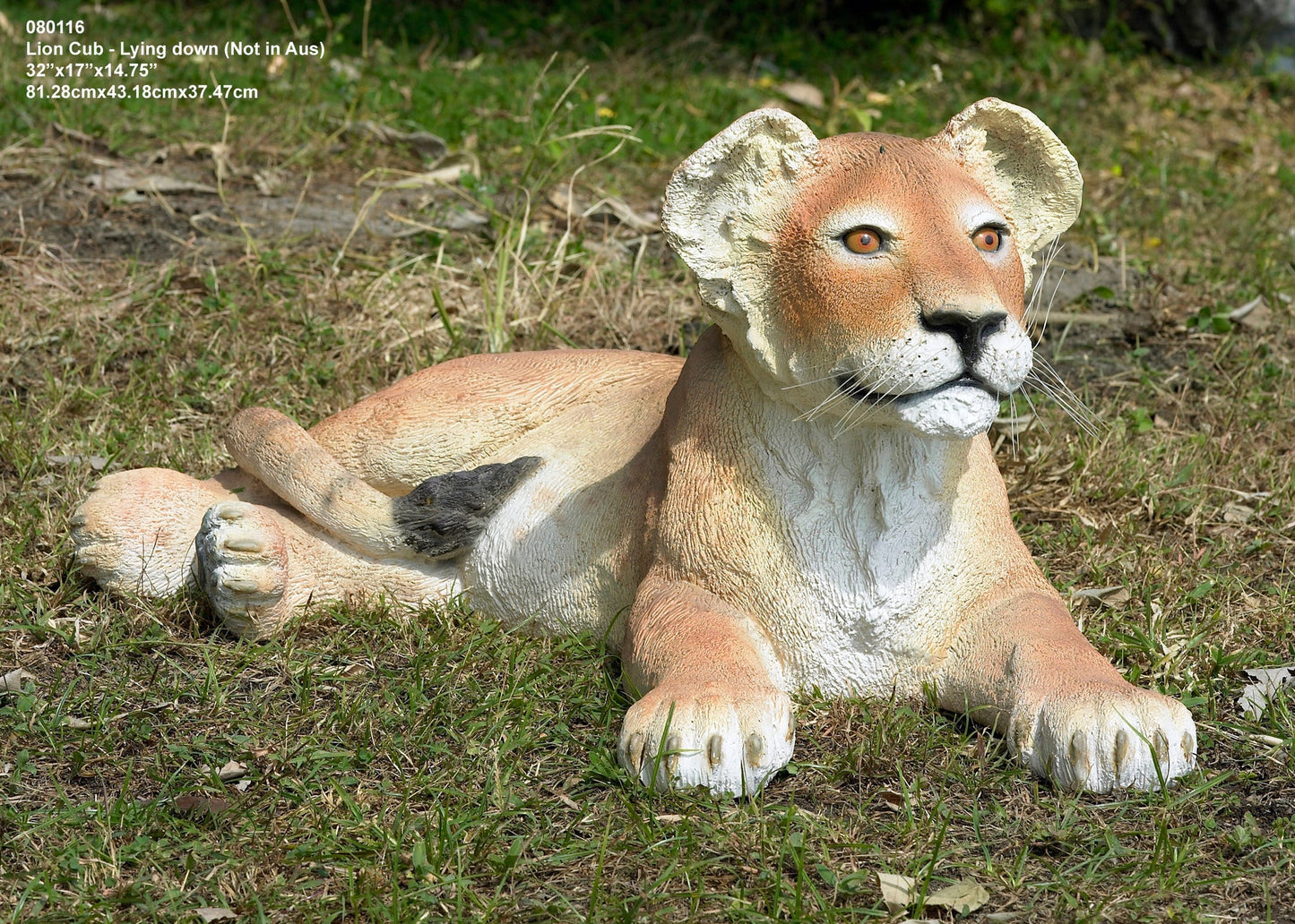 Lion Cub laying - Custom Prop Rentals