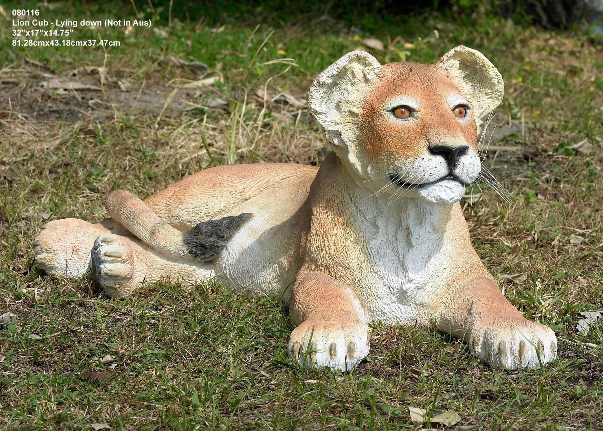 Lion Cub laying - Custom Prop Rentals