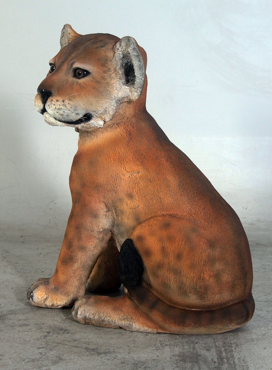 Lion Cub Sitting - Custom Prop Rentals