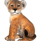 Lion Cub Sitting - Custom Prop Rentals