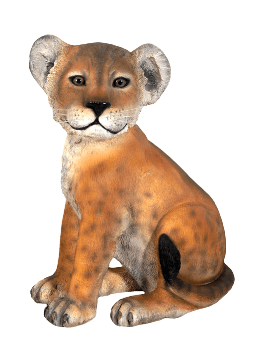 Lion Cub Sitting - Custom Prop Rentals
