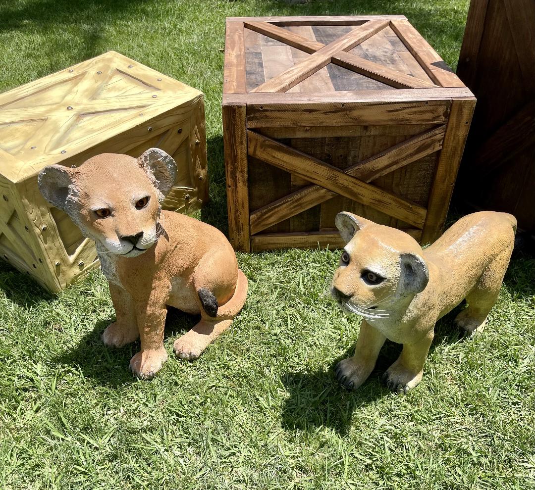 Lion Cub Sitting - Custom Prop Rentals