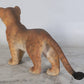 Lion Cub Standing - Custom Prop Rentals