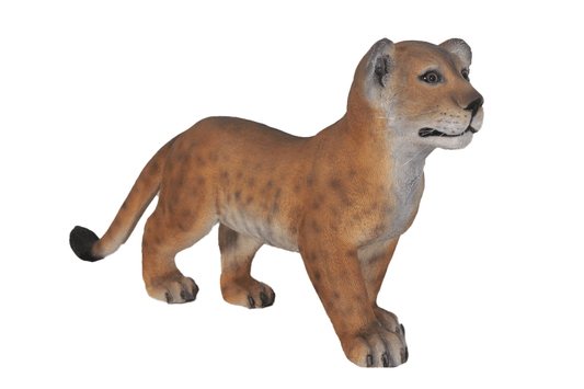 Lion Cub Standing - Custom Prop Rentals